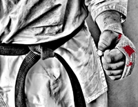 О признании вида спорта «всестилевое каратэ»