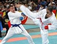 Положение о Чемпионате и Первенстве ЦФО по СЭНЭ 2014